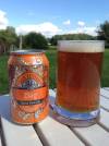 Ægir Bryggerie Dag Sitrus Pale Ale