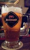 Bernard Kvasnicove 10°
