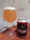 BraufactuM Hoppy Kellerpils