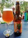 Brew Age Hopfenauflauf Neu