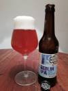 BrewBaker Berlin IPA