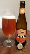 Bush Ambrée