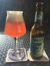 Camba Bavaria German IPA