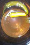 Cave Creek Chili Beer Chilischote