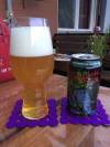 Crazy Mountain Hookiebobb IPA