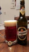 Darguner Bockbier Dunkel