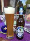 Falkenfelser Weissbier
