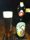 Hirschbräu Maibock 
