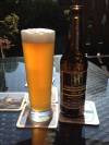 Hopfenstopfer Citra Ale