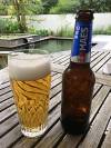 Maes Pils