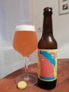 Mikkeller Drink'in the Sun 