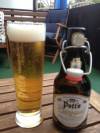 Pott's Prinzipal