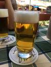 Ringlas Helles
