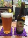 Schremser Bio Naturpark Bier