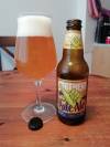 Statement Session Pale Ale