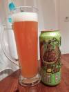 Steam Brew IPA Radler