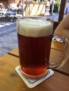 Stefanus Dunkel
