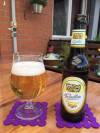 Traugott Simon Radler
