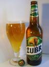 Żubr