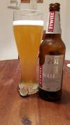 Żywiec Białe